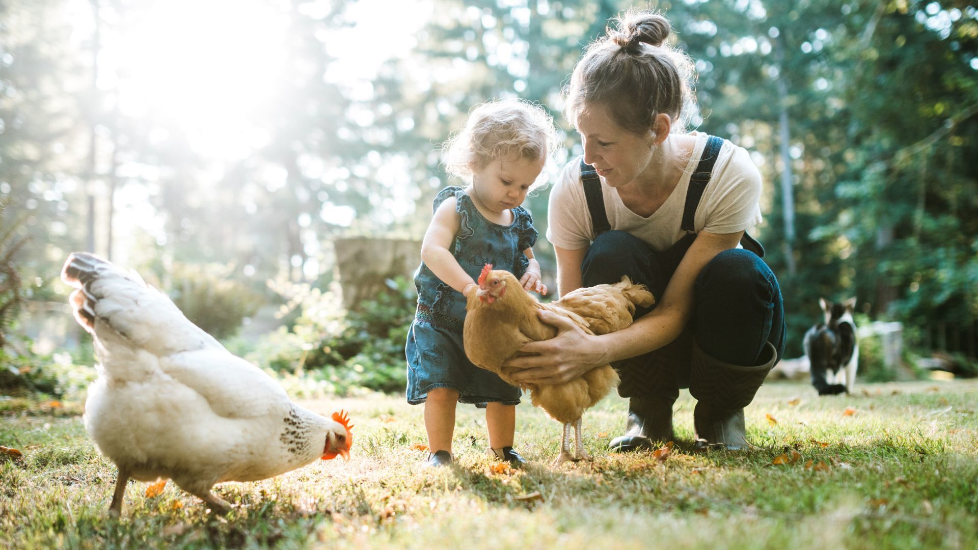 Frokostseminar familierett