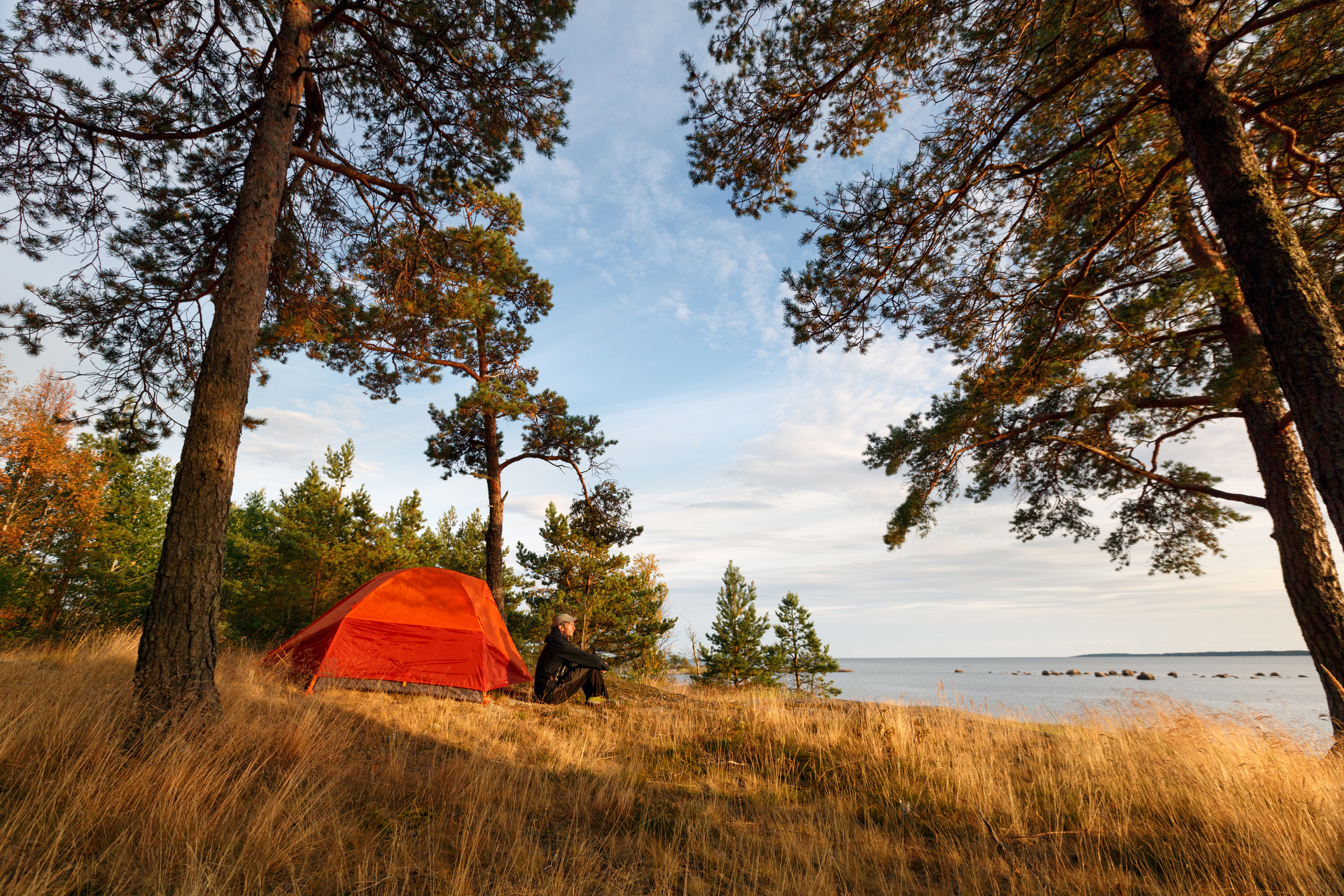 Rødt telt i skogen i fin natur.