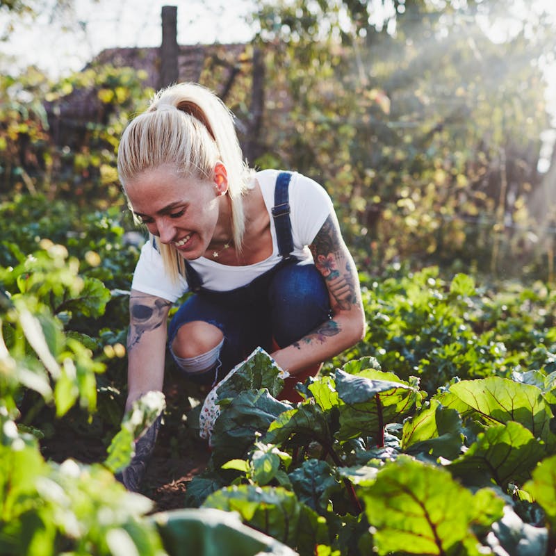 I Stock 1096561104 1